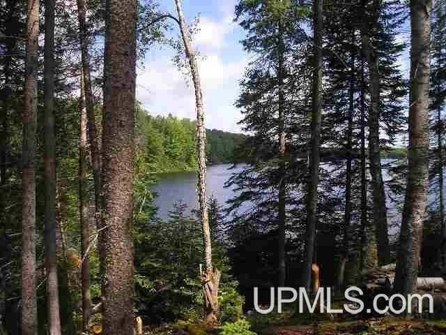 LOT43C E Fence Lake Rd, Michigamme, MI 49861