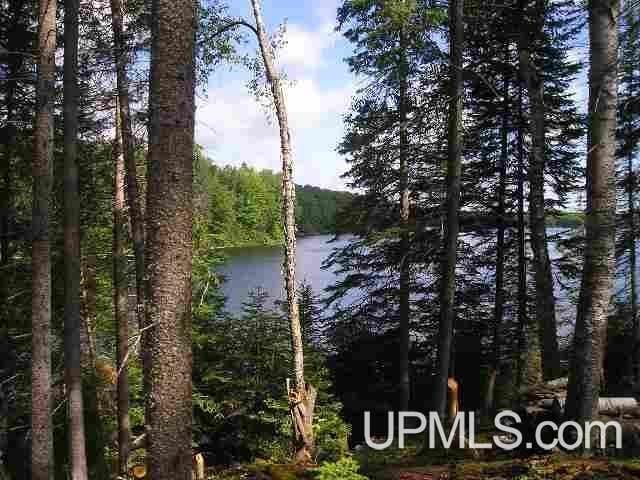 LOT43C E Fence Lake Rd, Michigamme MI, 49861 land for sale