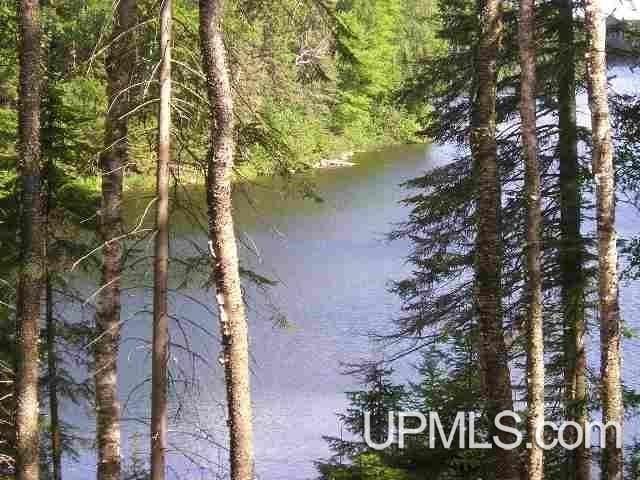 Listing photo 2 for LOT43C E Fence Lake Rd, Michigamme MI 49861