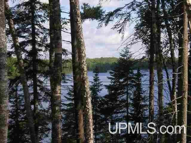 Listing photo 3 for LOT43C E Fence Lake Rd, Michigamme MI 49861