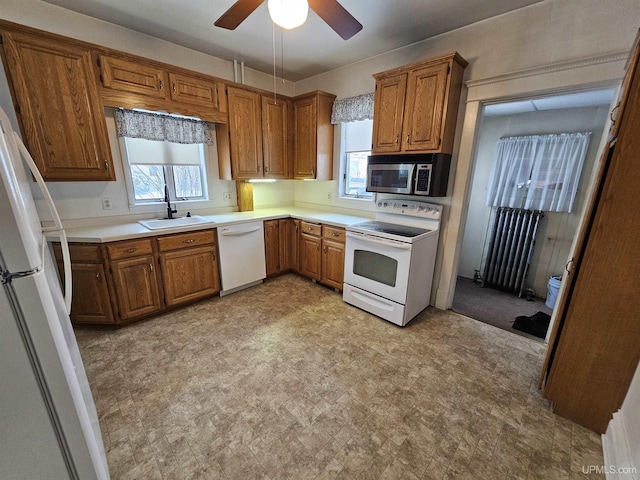 kitchen featuring radiator, white appliances, ceiling fan, and sink