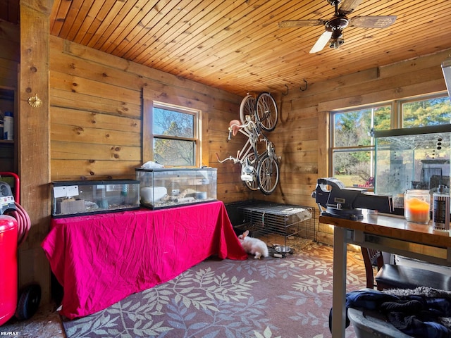 bedroom featuring multiple windows, wooden walls, ceiling fan, and wood ceiling