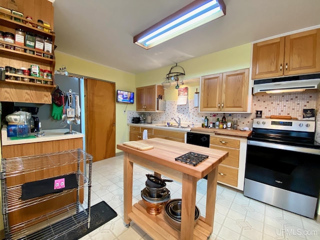 kitchen with tasteful backsplash, sink, stainless steel electric range, and black dishwasher