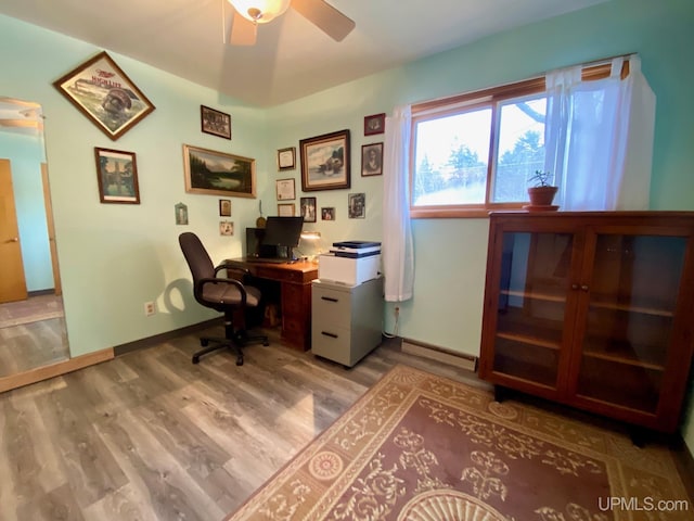 office area featuring ceiling fan and light hardwood / wood-style flooring