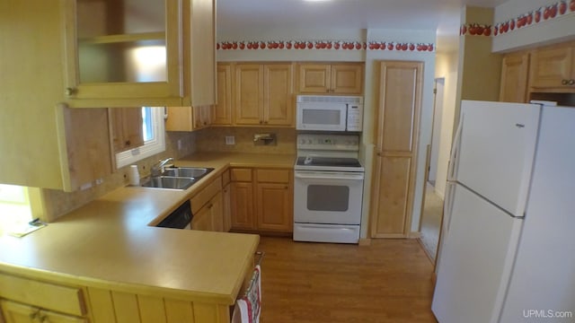 kitchen with light brown cabinetry, sink, light hardwood / wood-style floors, and white appliances