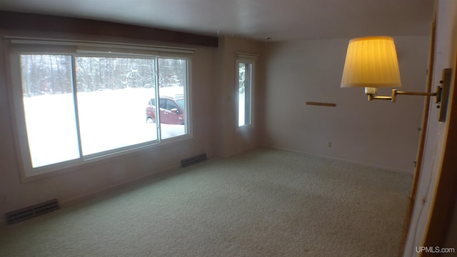 carpeted spare room with plenty of natural light