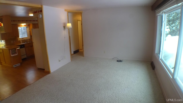 empty room featuring carpet floors and a wealth of natural light