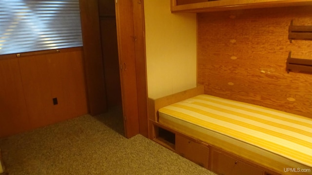 bedroom featuring carpet floors and a closet