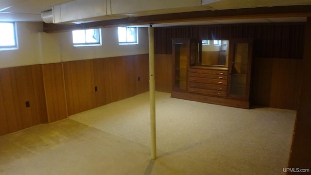 basement with carpet and wooden walls