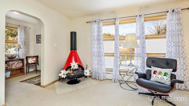 sitting room with carpet and plenty of natural light