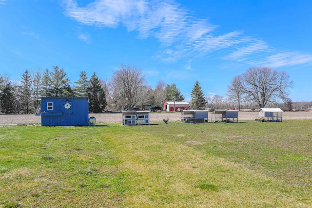 view of yard featuring a storage shed