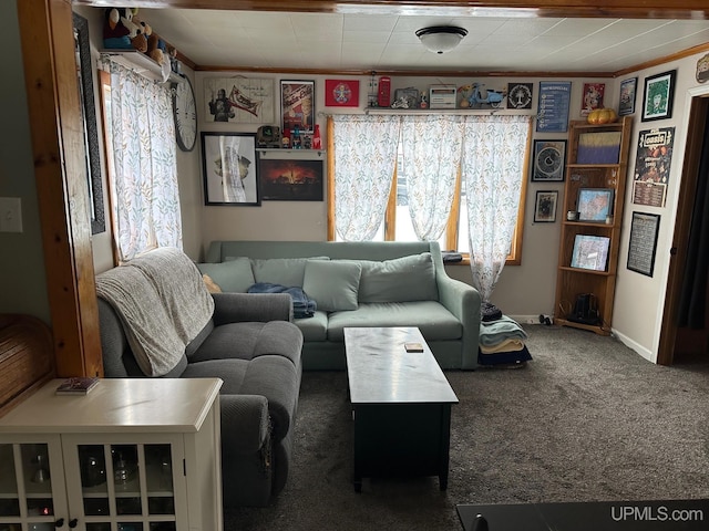 living room with carpet, plenty of natural light, and crown molding