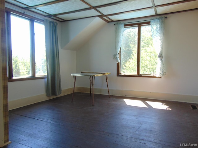 bonus room with wood-type flooring