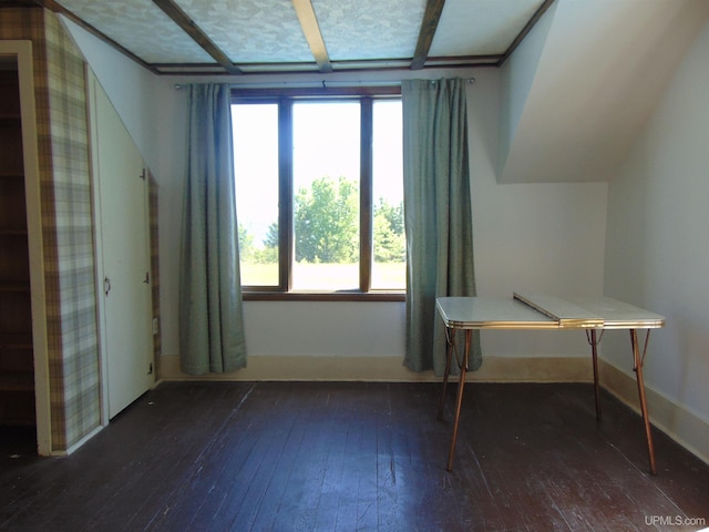 interior space with dark wood-type flooring