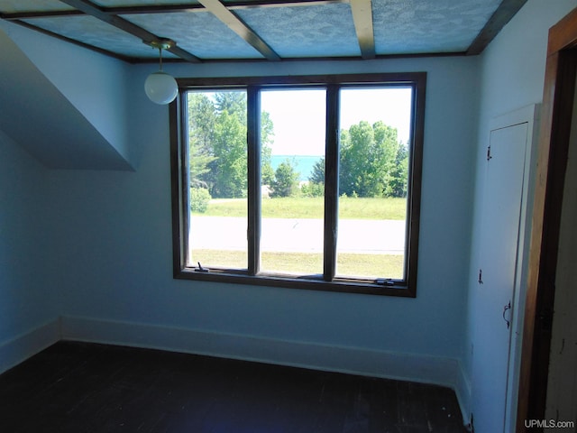 additional living space featuring dark hardwood / wood-style floors and a healthy amount of sunlight