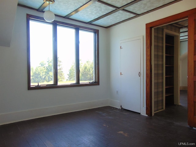 unfurnished room with dark hardwood / wood-style floors and a healthy amount of sunlight