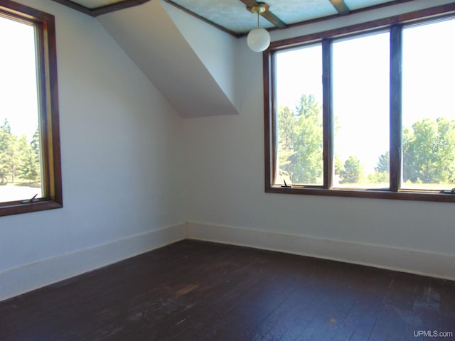 bonus room featuring dark hardwood / wood-style flooring and a wealth of natural light