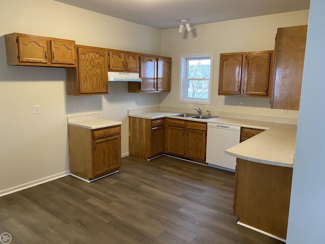 kitchen featuring white dishwasher, sink, and dark wood-type flooring