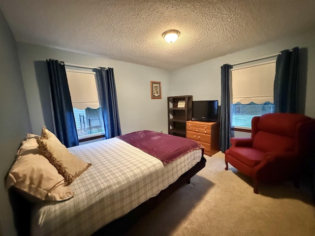 bedroom with carpet, a textured ceiling, and multiple windows