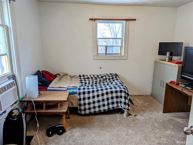 bedroom with carpet flooring