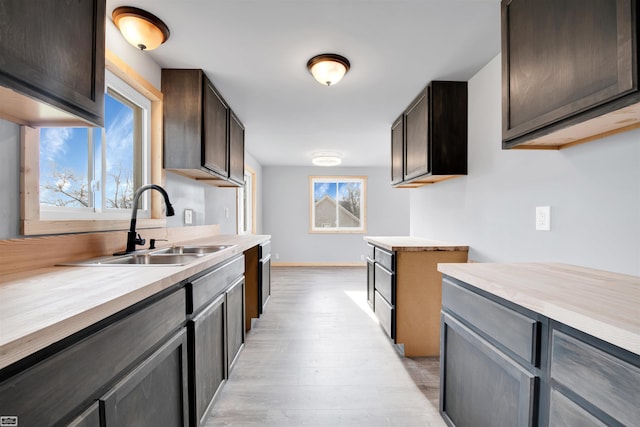 kitchen with dark brown cabinets, light hardwood / wood-style flooring, plenty of natural light, and sink