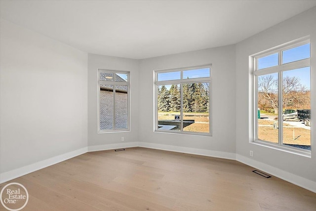 spare room with light wood-type flooring and a wealth of natural light