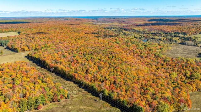 bird's eye view