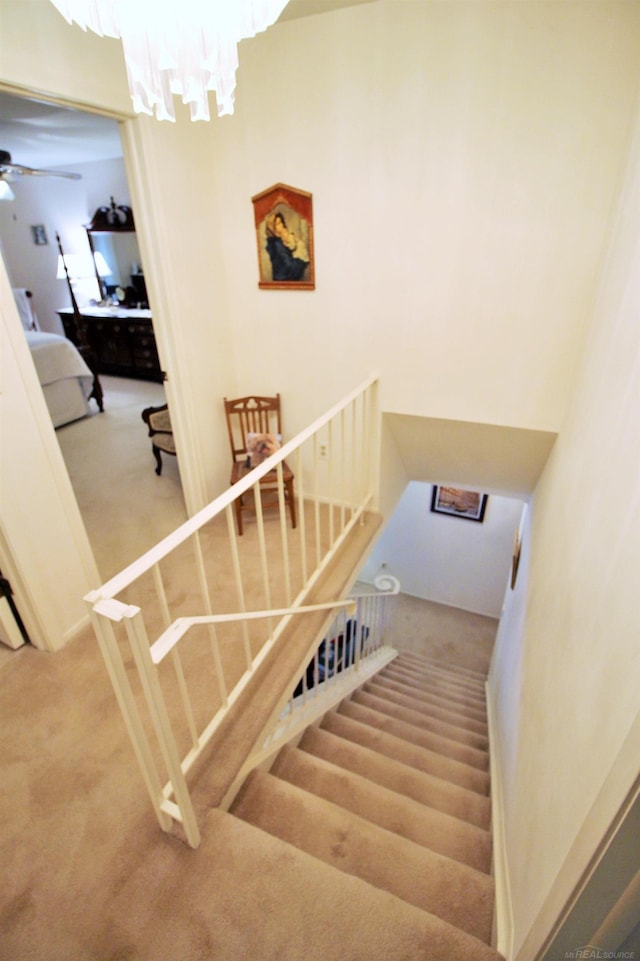 stairway featuring carpet flooring and ceiling fan with notable chandelier