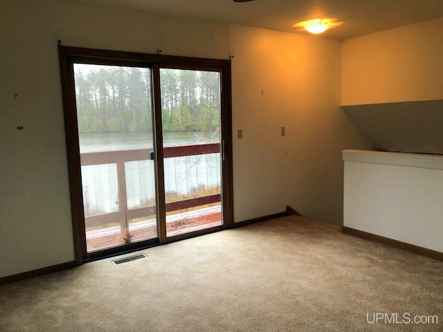 interior space featuring carpet flooring and a healthy amount of sunlight