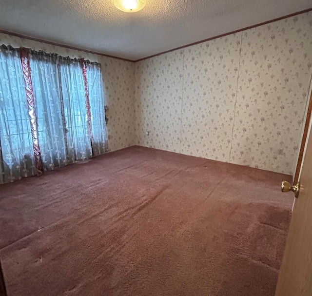 unfurnished room featuring a textured ceiling, carpet floors, and crown molding