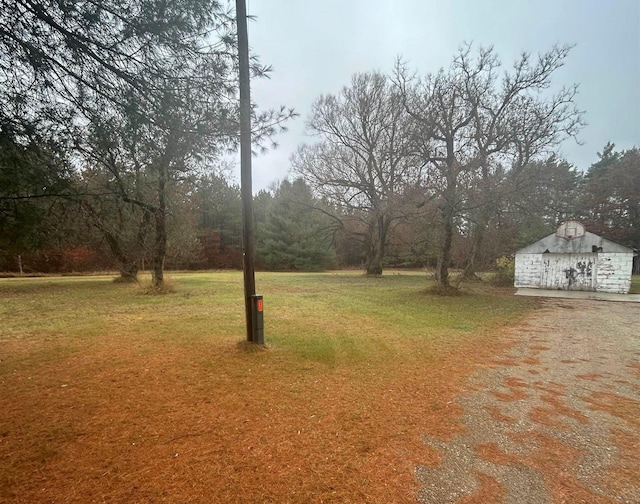 view of yard with an outbuilding