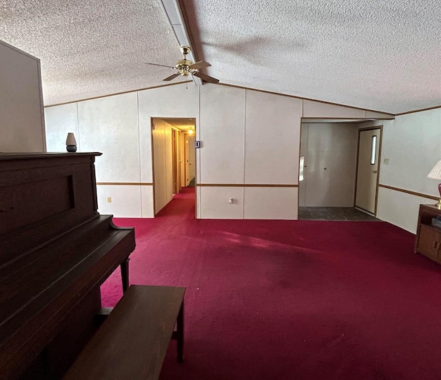 miscellaneous room featuring carpet, a textured ceiling, and vaulted ceiling