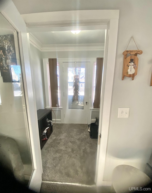 interior space featuring carpet and ornamental molding