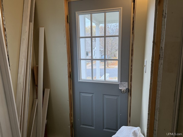 entryway featuring plenty of natural light