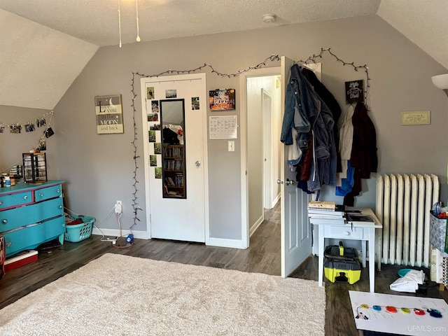 interior space featuring lofted ceiling, radiator, and dark wood-type flooring