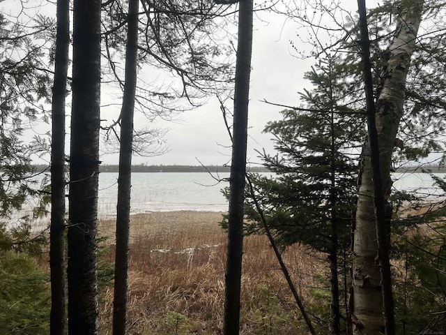 Pioneer Trl, Presque Isle MI, 49777 land for sale