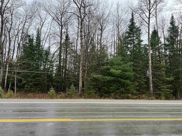 Long Rapids Rd, Alpena MI, 49707 land for sale