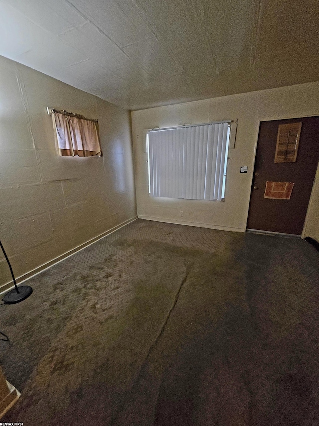 entrance foyer featuring carpet