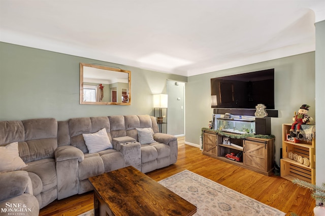 living room featuring hardwood / wood-style flooring