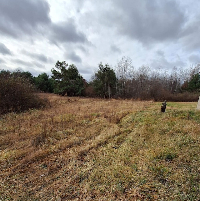 view of landscape featuring a rural view