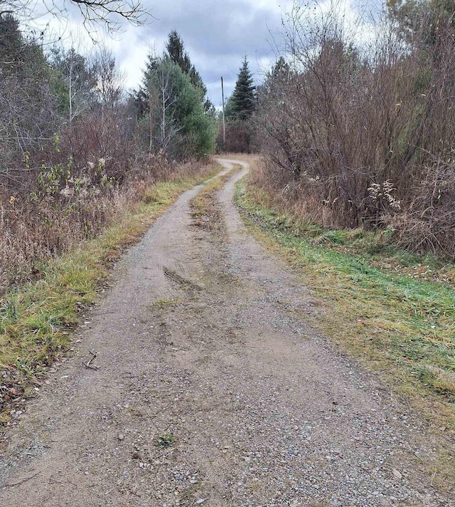 view of road