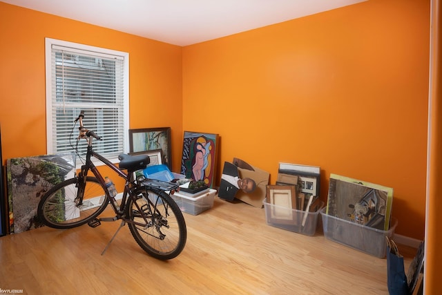 misc room with light hardwood / wood-style flooring