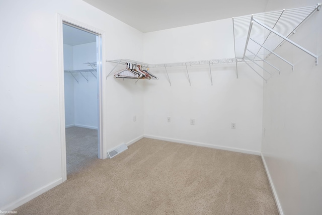 spacious closet featuring carpet floors