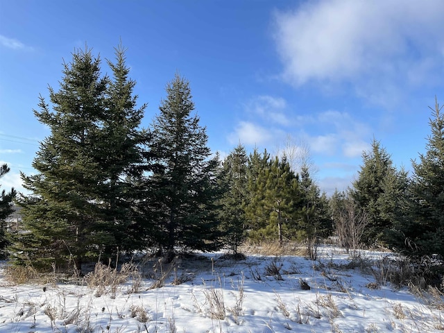 Listing photo 2 for TBD W County B Rd, Saxon T-Wi WI 54559