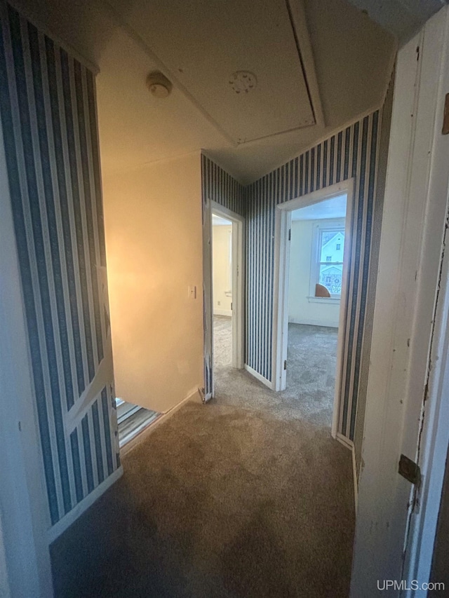 hallway with carpet flooring