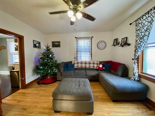 living room with ceiling fan, light wood-type flooring, and a wealth of natural light