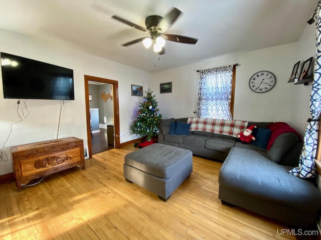 living room featuring ceiling fan and light hardwood / wood-style floors