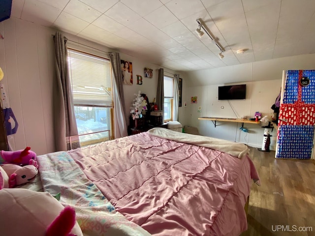 bedroom with hardwood / wood-style floors