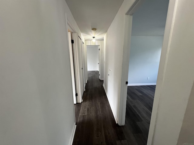 corridor with dark wood-type flooring