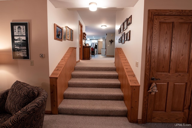 stairway with carpet flooring